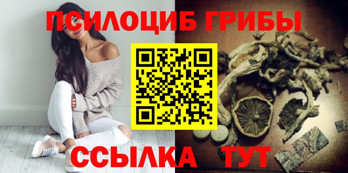 Камышин  Галлюциногенные грибы мухоморы  Вход с VPN 