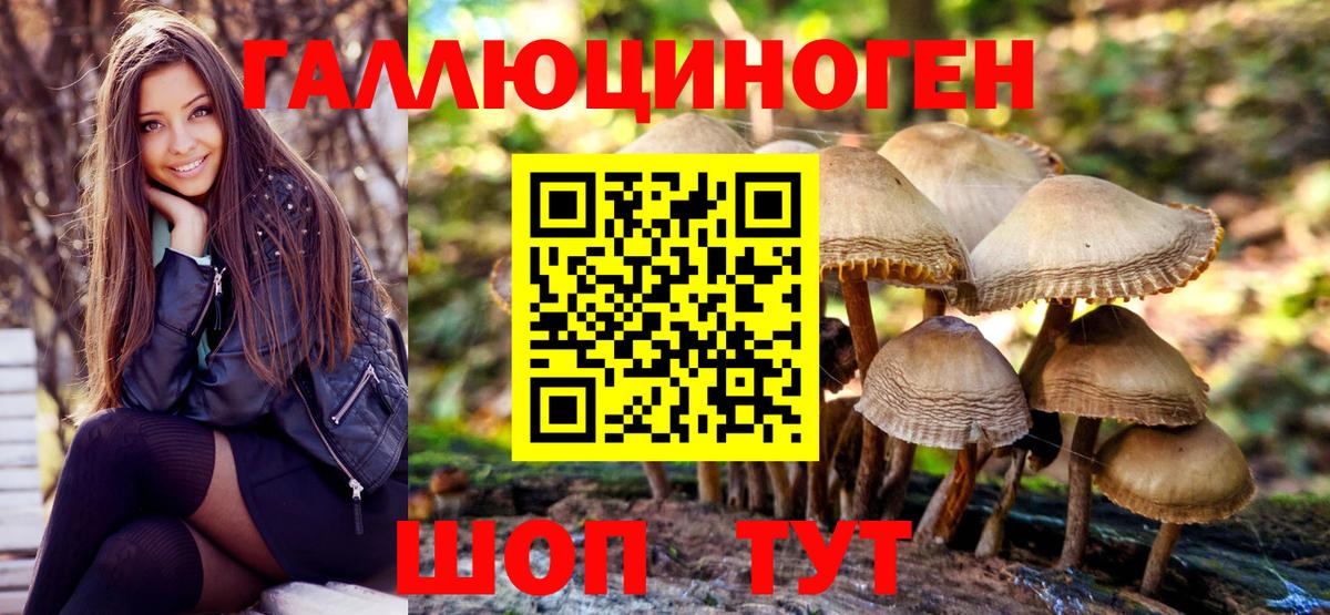 Галлюциногенные грибы мицелий Камышин