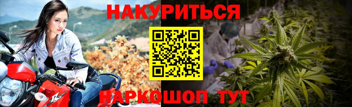 Камышин  Шишки марихуана Bruce Banner  Конопля ГИДРОПОН  Вход с VPN  Марихуана Amnesia 